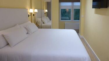 Hoteles que admiten mascotas: viaja con tu perro, gato...