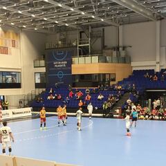 Anaitasuna resiste (28-33) en Finlandia y sigue con vida