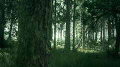 The Last of Us Part II, Todas las imágenes