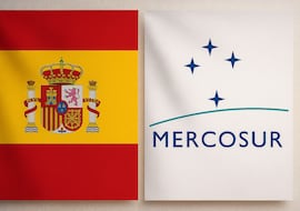 Ni café ni azúcar: este es el producto que más importa España desde Mercosur presente en casi todas las mesas y cocinas