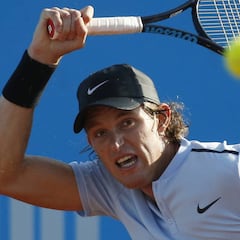 Grandote, pero no tronco