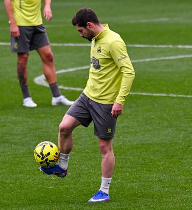 Búfalo contra León