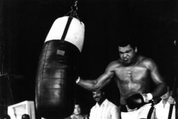 Muhammad Ali cuenta con 61 combates en toda su carrera profesional, con 56 victorias y 5 derrotas.   