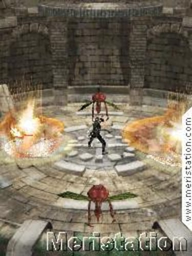 Ninja Gaiden Dragon Sword, Impresiones