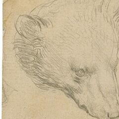 A subasta un dibujo único de Leonardo da Vinci: puede costar más de 10 millones de euros