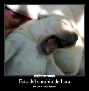 Los memes más graciosos sobre el cambio de hora