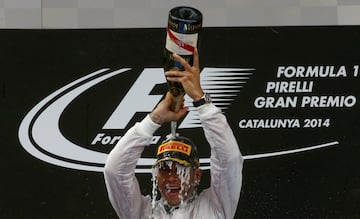 Lewis Hamilton en 2014.