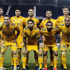Tigres, por la reivindicación