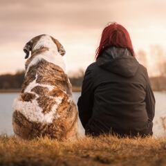 Las razones por las que los perros son tan fieles a los humanos según la ciencia