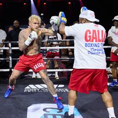 Jake Paul vs Julio César Chávez Jr: fecha, horario, TV y cómo ver la pelea