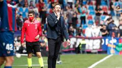 Vicente Moreno, entrenador del Espanyol.