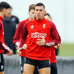 El Virus FIFA castiga al Granada con la lesion de Uzuni