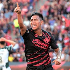 Chivas land their first reinforcement of the preseason