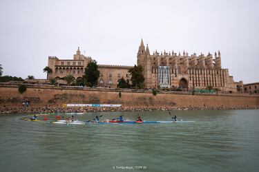 Palma corona a las estrellas mundiales bajo la catedral
