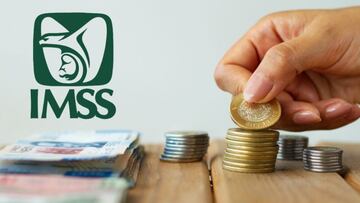 Cómo obtener una pensión vitalicia sin cotizar con la Ley 73 del IMSS: paso a paso y requisitos únicos