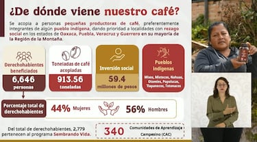Café Bienestar llega a México y es producido en el campo: ¿cuánto cuesta y dónde comprarlo?