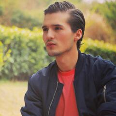 ¿De qué se acusa a Memo Aponte?