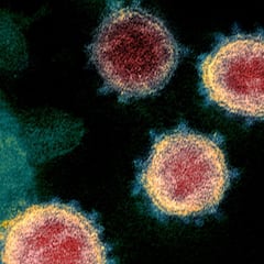 Reino Unido identifica una variante que escapa a los anticuerpos