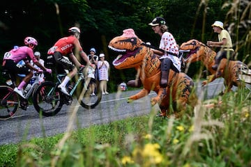 Seguidores del Tour de Francia disfrutando del paso de los ciclistas desde la cuneta