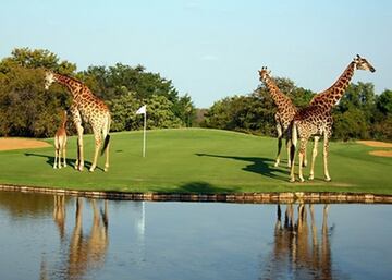 Este bello campo de golf de 9 hoyos ofrece al visitante una curiosa experiencia al estar rodeado de una gran variedad de animales.