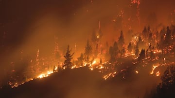 Incendios en el Hoyo: cuál es la situación y qué medidas se están tomando para combatirlo