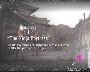 Ninja Gaiden, Impresiones Demo (Xbox)