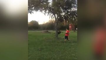 ¡Terrible golpe con un árbol por buscar una pelota!