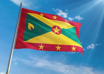 La bandera consiste en un rect¨¢ngulo dividido diagonalmente en tri¨¢ngulos amarillos arriba y abajo y verdes a los lados, con un borde rojo alrededor de la bandera. Pero el elemento que llama la atenci¨®n es la presencia de una nuez moscada, ya que Granada es el segundo pa¨ªs en producci¨®n de nuez moscada.