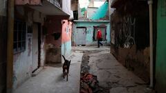 Coronavirus en Argentina: resumen y casos del 5 de mayo