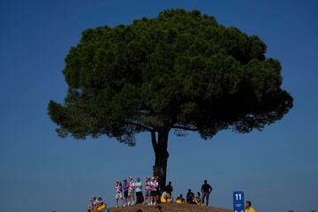 Los espectadores del golf buscan la sombra de un ¨¢rbol.