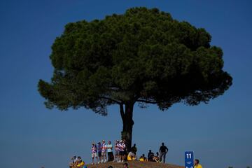 Los espectadores del golf buscan la sombra de un árbol.