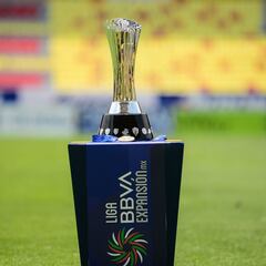 Directivo de Cimarrones: ‘’A veces es frustrante no pelear por el ascenso’