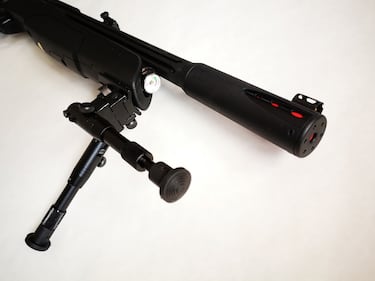 Nueva Arrow de Gamo: sin baile de miras.