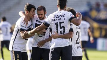 Te presentamos la numeralia de Pumas de cara al nuevo campeonato del Fútbol Mexicano. Los universitarios buscan su octavo campeonato