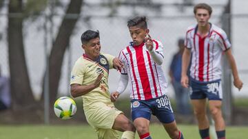 Torneos de Fuerzas Básicas de Liga MX no iniciarán el 23 de julio