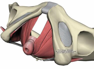 Un juego ayuda a mejorar la actividad sexual femenina