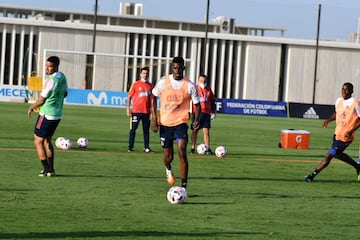 La Selección Colombia continúa trabajando en la sede de la Federación Colombiana de Fútbol en Barranquilla bajo el mando del técnico Reinaldo Rueda. Tras la atención a la prensa, el grupo conformado por jugadores del FPC hizo trabajo en espacio reducido, fútbol y trabajo de arqueros.