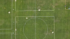 El otro protocolo: el cerebro