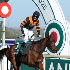 33 motivos para haber confiado en el Cohete