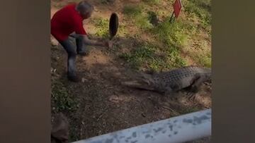 El video del momento: ¡un hombre pelea a sartenazos contra un cocodrilo!