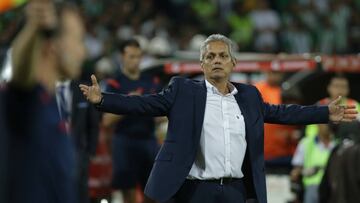 Reinaldo hará pasantía con el Hoffenheim de Alemania