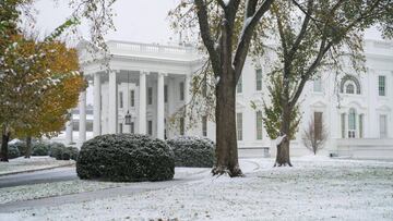 Este jueves 15 de noviembre, cayó la primera tormenta de nieve que afectó a varios estados norteamericanos, y provocó la suspensión de diversas actividades.