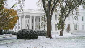 Este jueves 15 de noviembre, cay&oacute; la primera tormenta de nieve que afect&oacute; a varios estados norteamericanos, y provoc&oacute; la suspensi&oacute;n de diversas actividades.