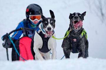 El invierno ruso es largo y frío, y da para celebrar diversas competiciones que tienen como escenario la nieve o el hielo. Como las carreras de trineos tirados por perros. En la imagen, una mujer dirige a sus animales en una prueba a las afueras de San Petersburgo, donde también son típicas las carreras de trineos tirados por caballos o por renos.