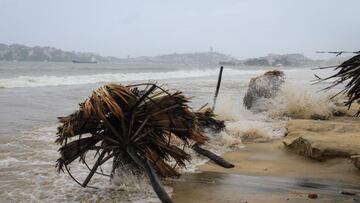 Descubre cómo avanza la trayectoria de la tormenta tropical Flossie que se aproxima a las costas mexicanas.