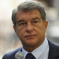 "El Barça podría acabar siendo Sociedad Anónima"