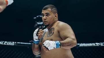 El peleador Luis Alberto 'Krikri'.