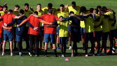 Selecci&oacute;n Colombia en la Copa Am&eacute;rica