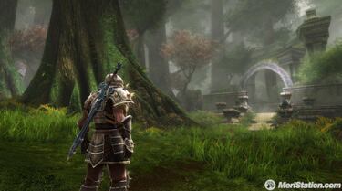 Kingdoms of Amalur: Reckoning, Impresiones