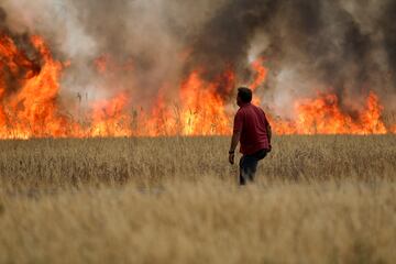 Los incendios se extienden por toda la península ibérica espoleados por la ola de calor. En Losacio (Zamora) ha perdido la vida un brigadista de los medios de extinción de la Junta de Castilla y León. Es el segundo incendio en menos de un mes en en la ciudad castellano leonesa.